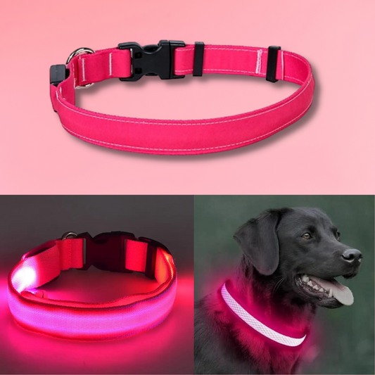 LED Adjustable Dog Collar